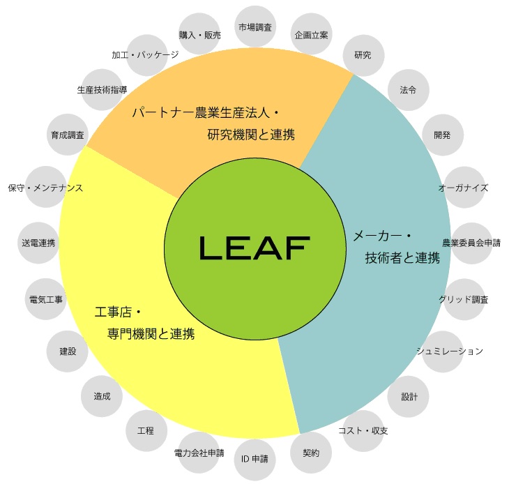 株式会社ＬＥＡＦ